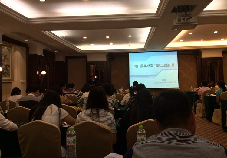 海口黑臭感潮河道工程治理報告現(xiàn)場
