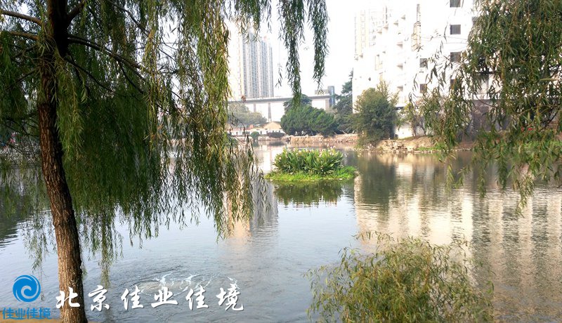公園景觀(guān)水治理后