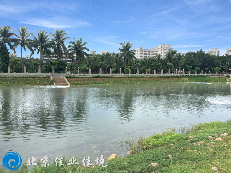 ?？诎咨澈? width=