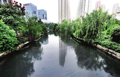 黑臭水體治理屢屢失敗告終 為什么？