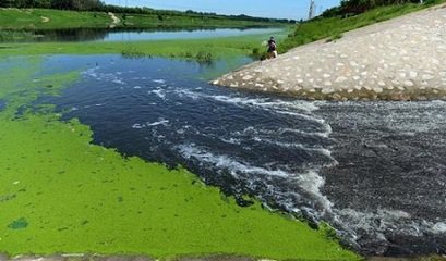 多地開展黑臭水體治理，尚無真正治理達(dá)標(biāo)項(xiàng)目